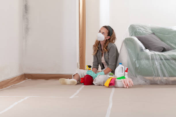 Reliable Mold Cleanup contractor in New Park, PA by Cheap Mold Removal